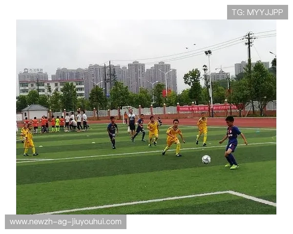 吉安各县足球馆建设现状与发展前景分析